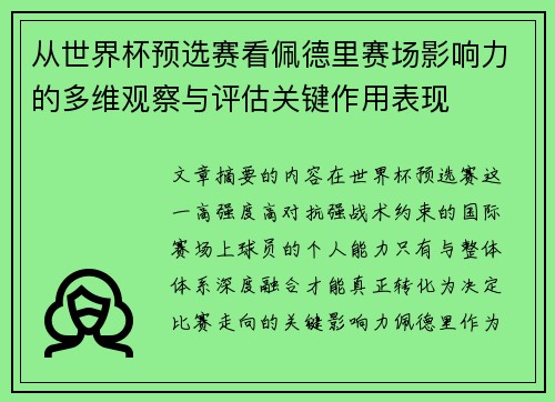 从世界杯预选赛看佩德里赛场影响力的多维观察与评估关键作用表现